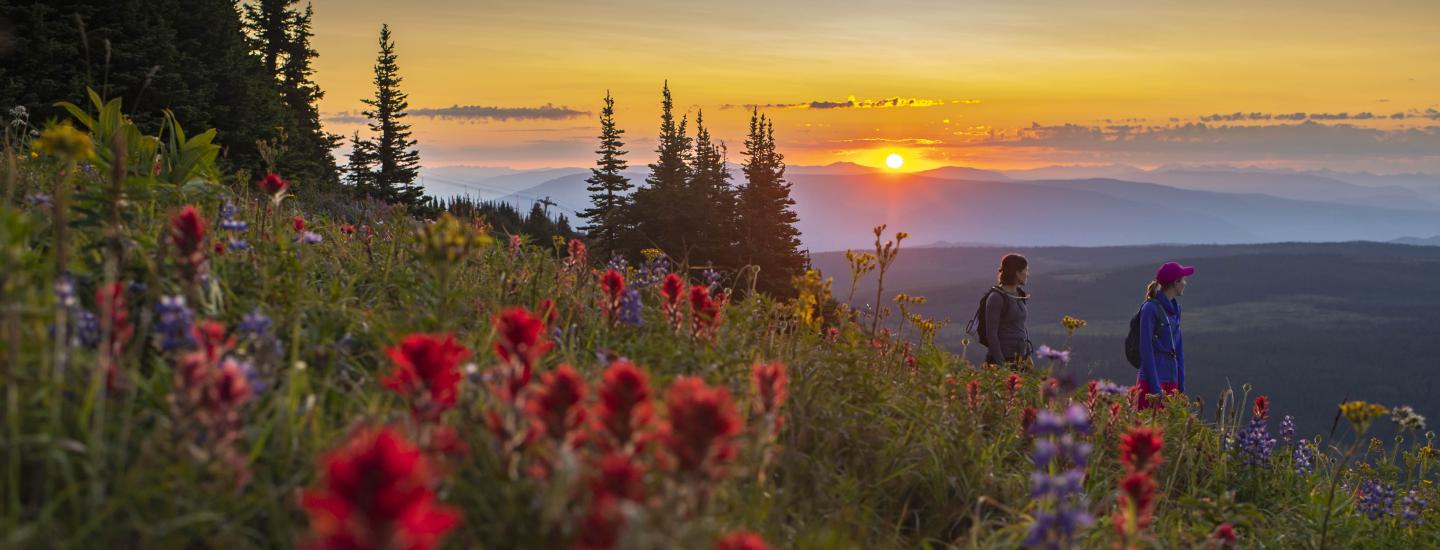 Home Sun Peaks Mountain Resort Municipality